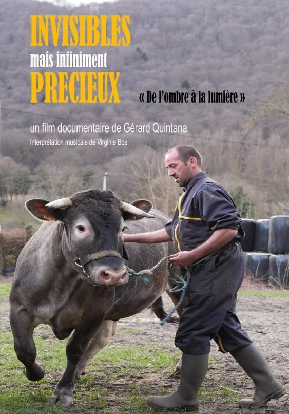 Affiche du documentaire Invisibles mais infiniment précieux
