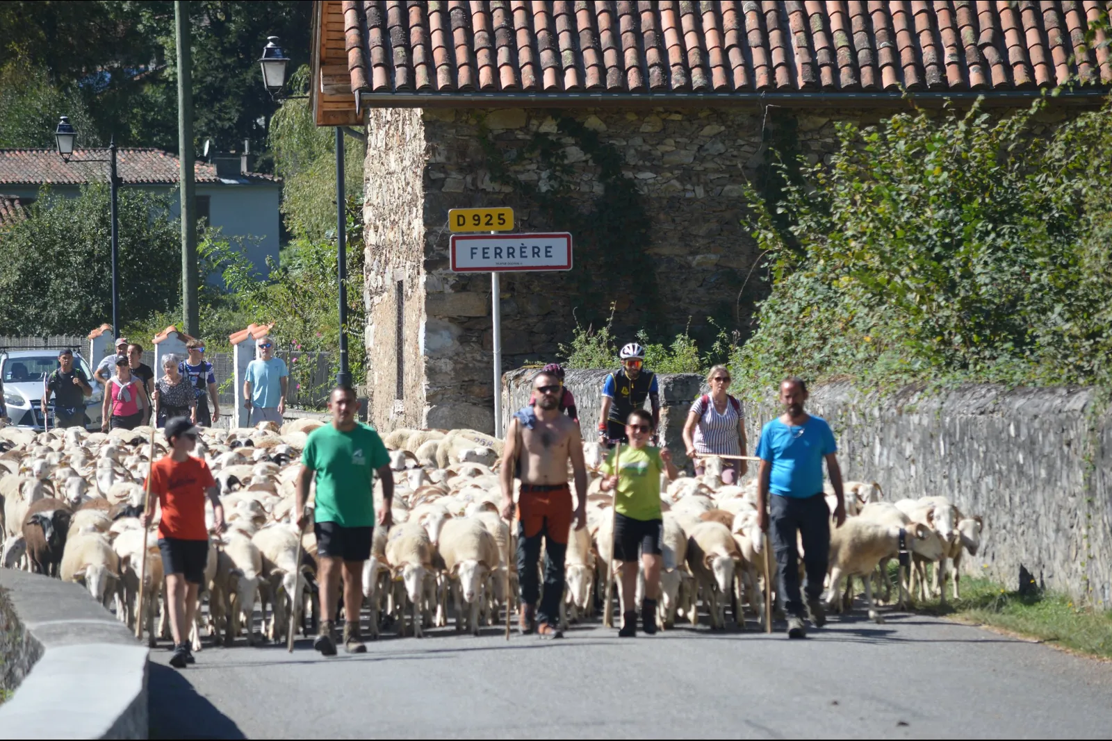 Troupeau et habitants pendant une descente d’estive