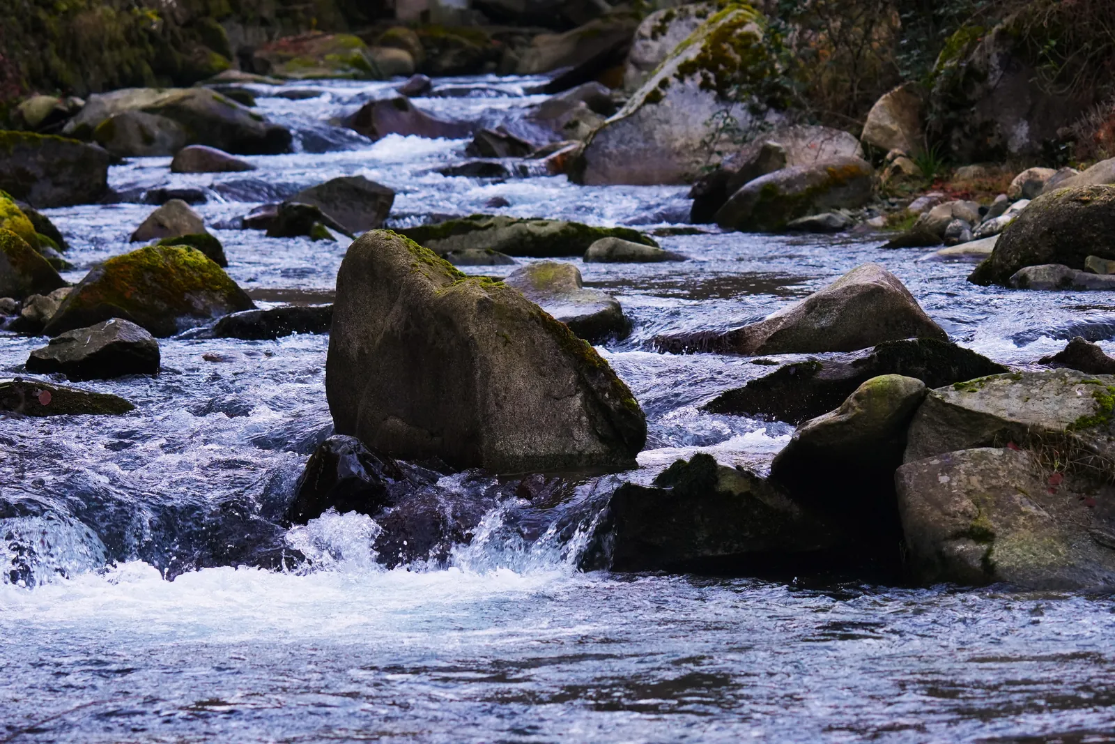 Rivière de montagne courant entre de grands rochers