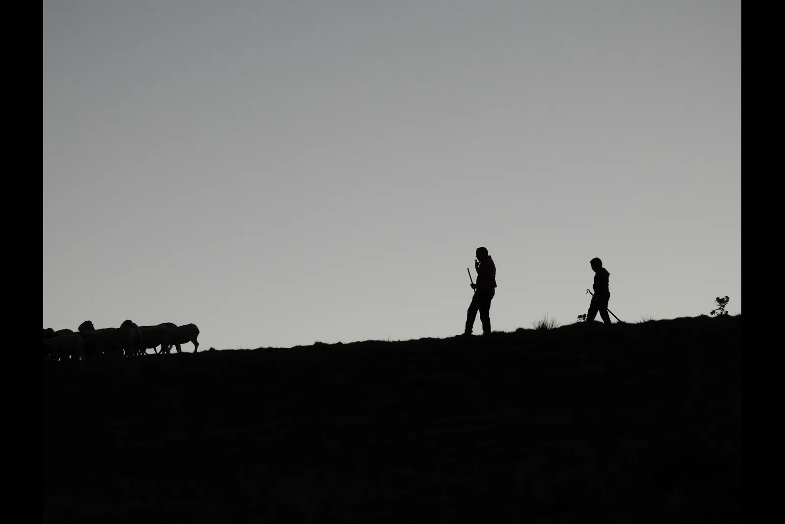 Deux bergers en silhouette dans la lumière de la montagne